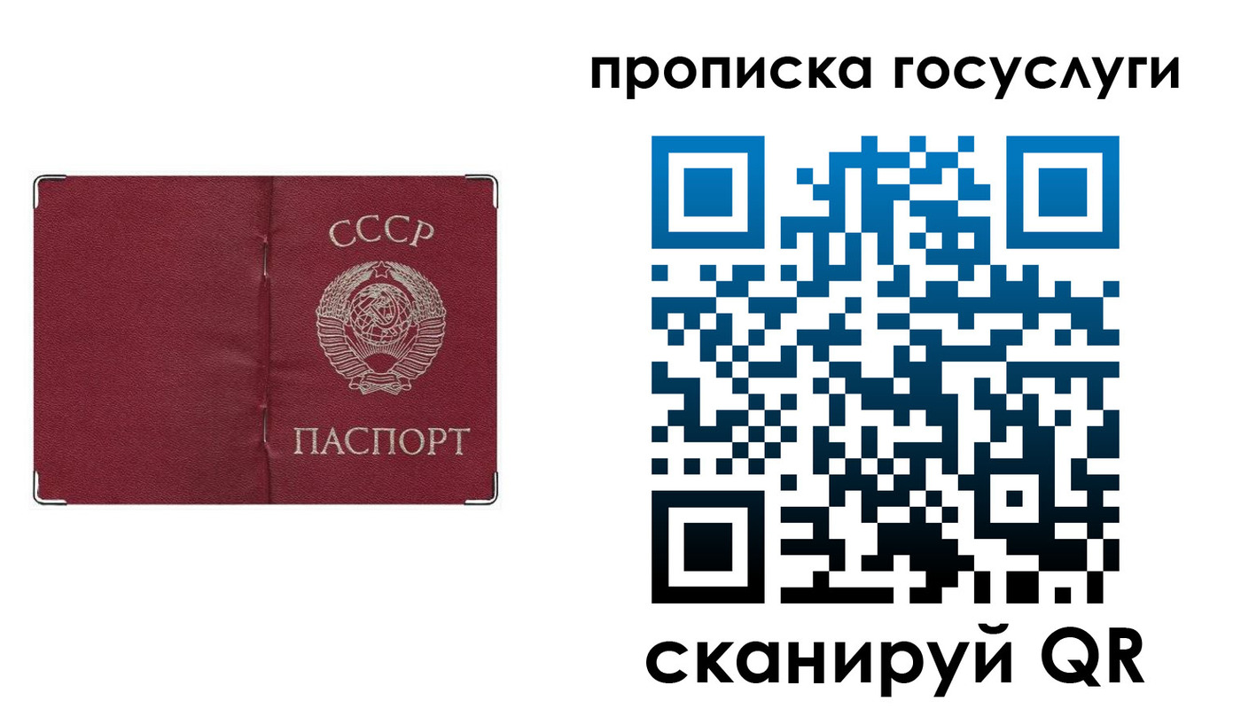 прописка ребенка в Пионерском