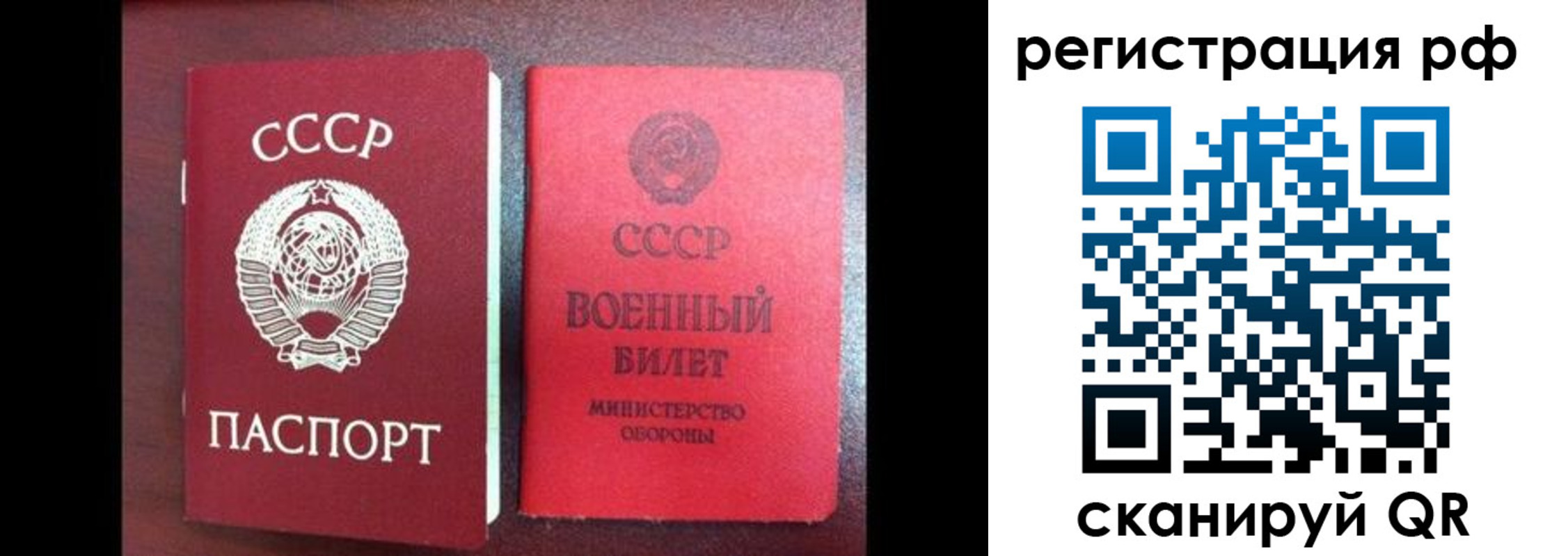 прописка для работы в Пионерском